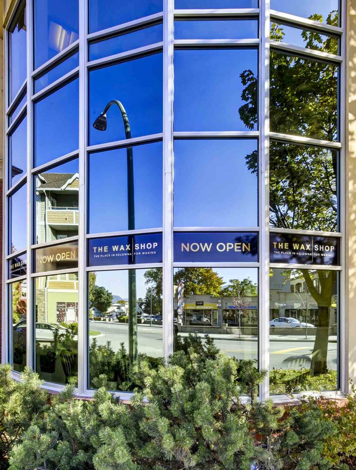 The Place in Kelowna for Waxing The Wax Shop